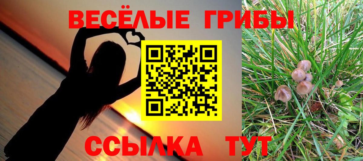 Галлюциногенные грибы мицелий  Галлюциногенные грибы мицелий  Вход с VPN  Красноармейск 