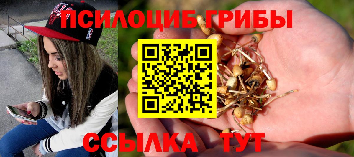 Галлюциногенные грибы Cubensis Красноармейск